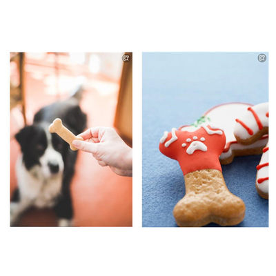 1000 كجم/8 ساعات آلة تصنيع أغذية الحيوانات الأليفة للعناية بالأسنان للكلاب، ضمان 12 شهرًا