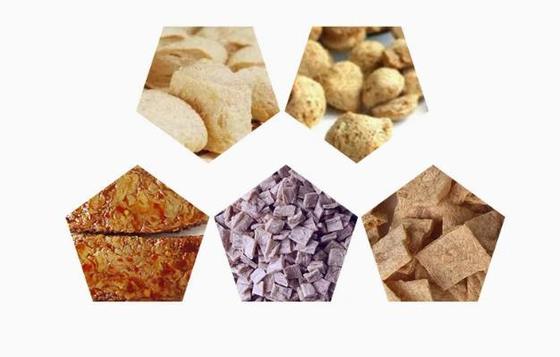 الإصدار الإنجليزي خط بروتين فول الصويا / صناعة قطع فول الصويا AutoCAD Format