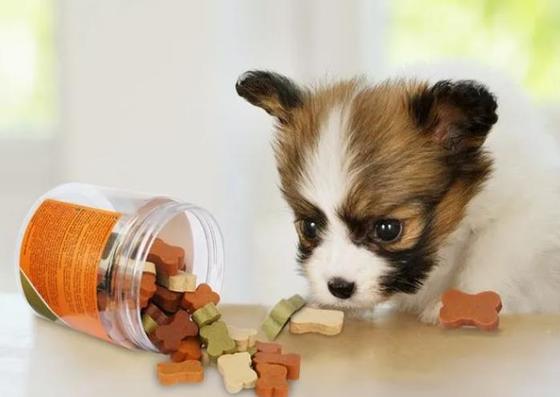 الفولاذ المقاوم للصدأ لينة الليسيثين الكلب علاج آلة البثق الباردة ماكينة