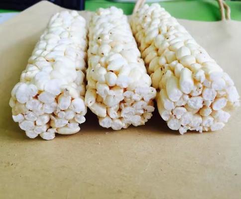 مولتي-فونكتيون مركب حبوب غرانولا حلوى بار يشكل آلة