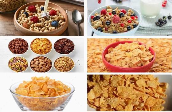 خط جديد لمعالجة رقائق الذرة من الفولاذ المقاوم للصدأ