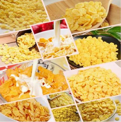 200-500kg كيلوج حبة الفطور المحمصة الحبوب الذرة رقائق معالجة خط وجبة خفيفة طعام آلة طحن