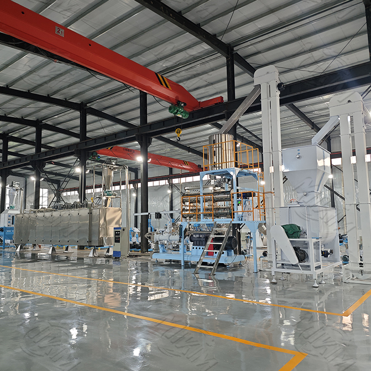 Automatic Cat Dry Feed Twin Screw Extruder Machinery Line Manufacturing Plant Chinese Kibble Pet Dog and Cat Food Making Machine